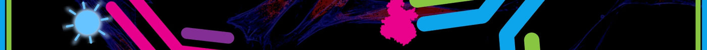 CF dyed antibodies - article thumbnail