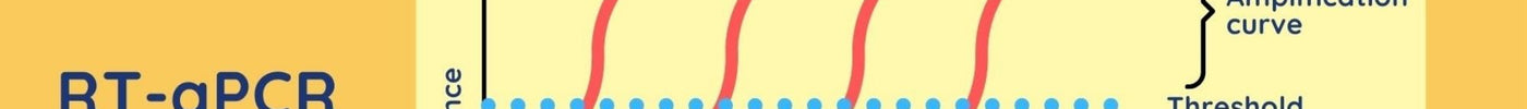 How To Interpret RT-qPCR Results