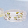 A Quick Overview of Agrobacterium for Plant Transformation