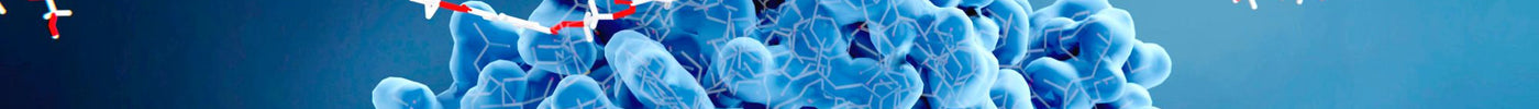What is ion exchange chromatography?