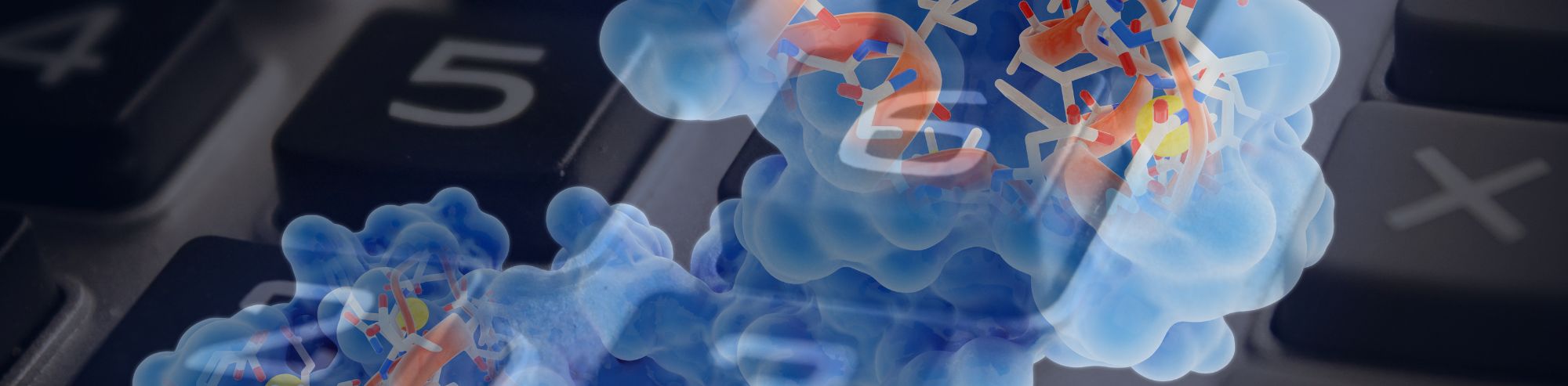 3 Common Reasons for Protein Isoelectric Point Discrepancies