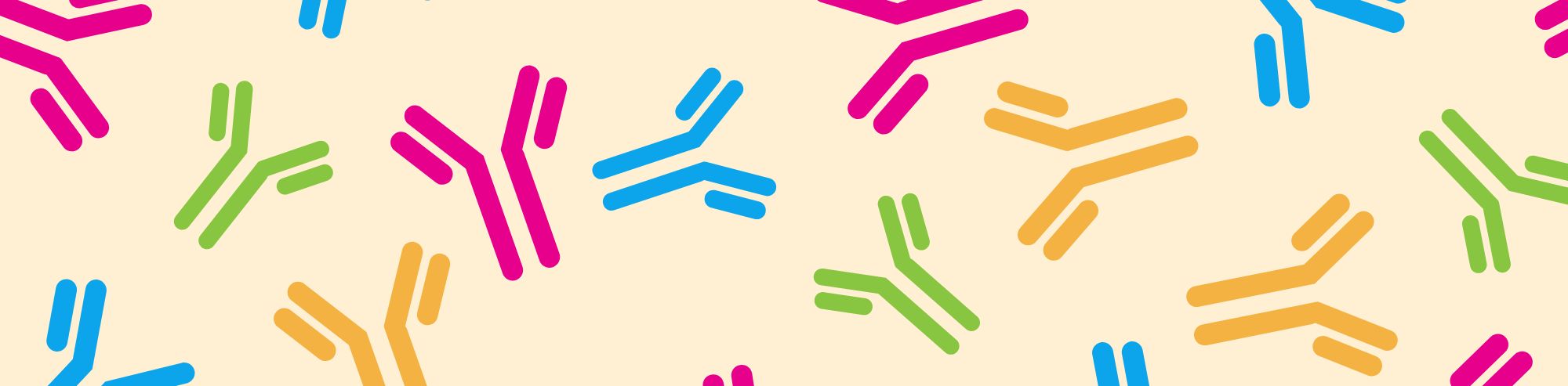 Deep Dive into Eluting Antibodies from Protein A, Protein G and Protein L Agarose Beads