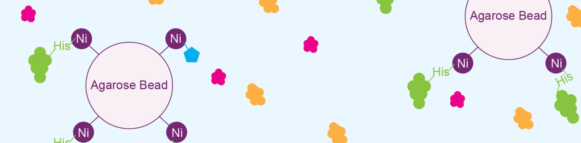 All About the Composition of Protein Purification Buffers and Why It Matters
