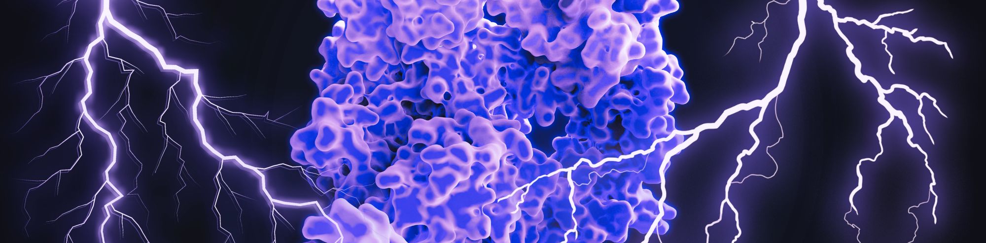 Charged up: The Complexities and Significance of Protein Charge in Protein Purification