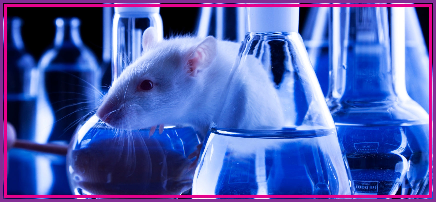 Rat King and inclusion bodies - Mouse among bottles