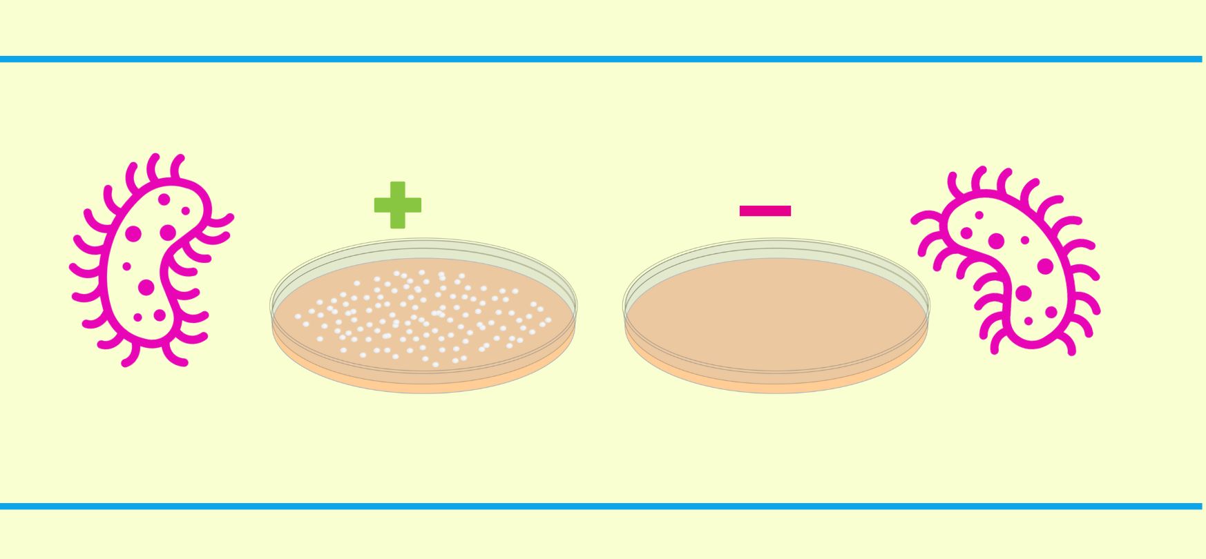 Auxotrophic mutant article thumbnail