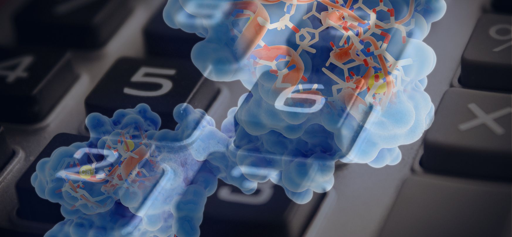 Protein Isoelectric Point - Thumbnail image