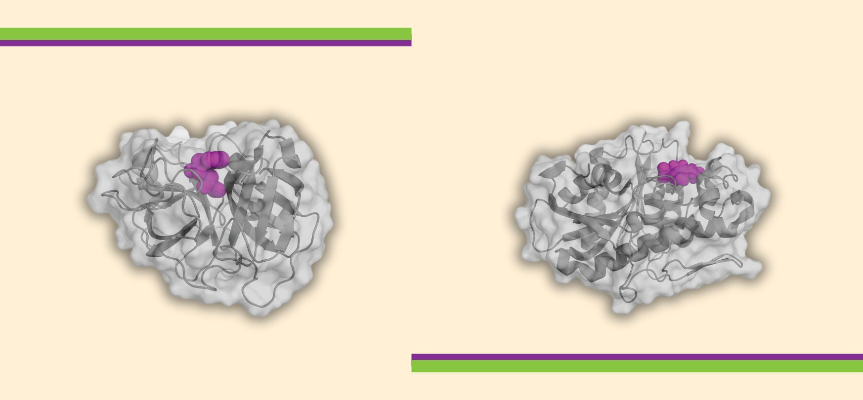 3 Key Differences Between AEBSF and PMSF Protease Inhibitors