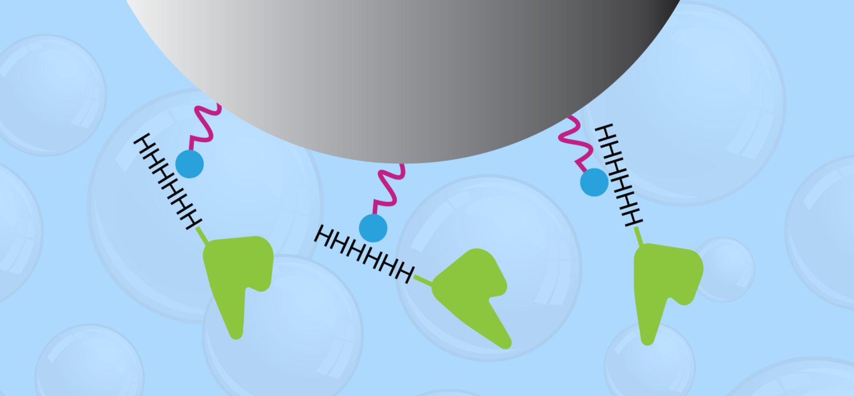 Nickel Agarose Bead Binding capacity article thumbnail and banner