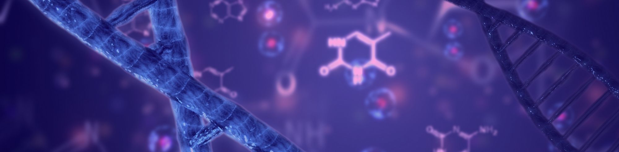 10 Common Techniques For Nucleic Acid Research