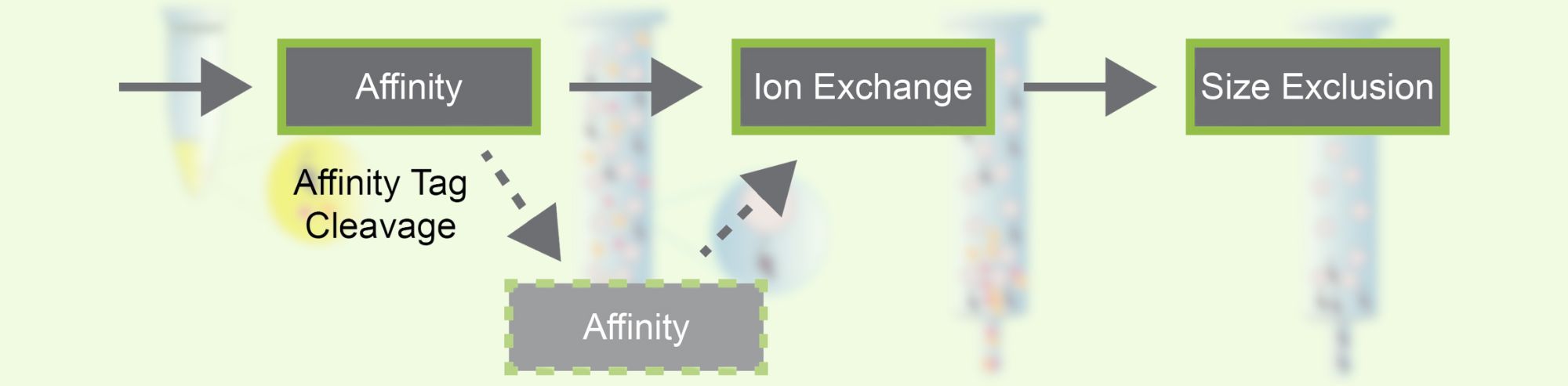 How to Choose the Best Protein Purification Technique