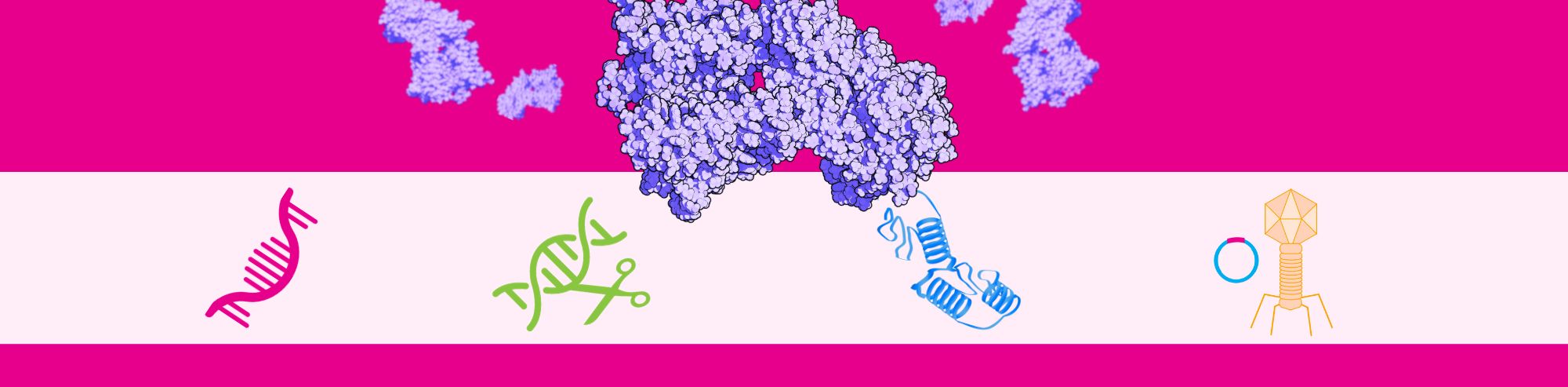 4 Experimental Applications of Transfection