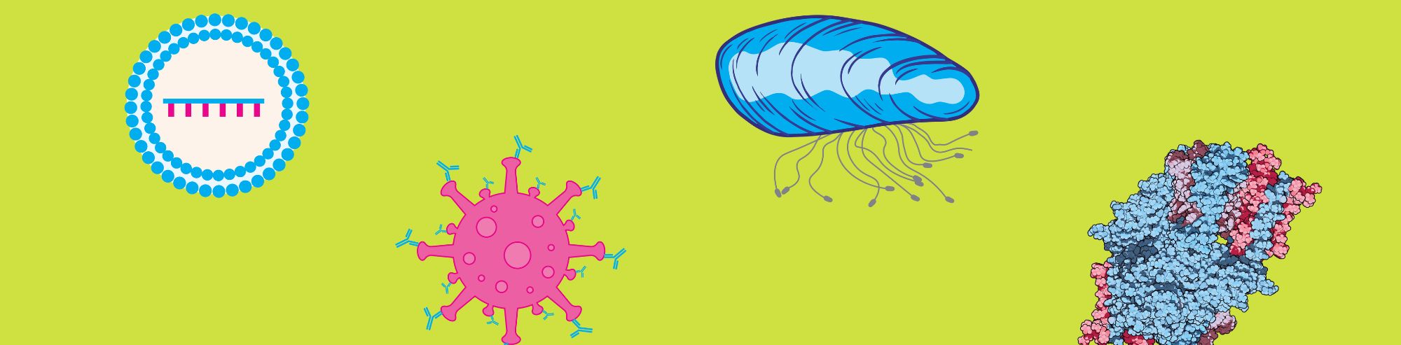 The Power of Purified Proteins: Medical Applications and Future Possibilities