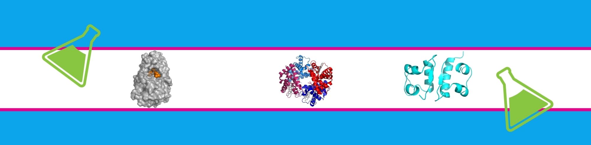 Probing the Depths of Biology: 4 Ways Purified Proteins Drive Research