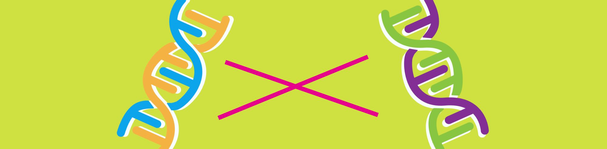 E. coli Homologous Recombination: How It Works and Influences on Cloning