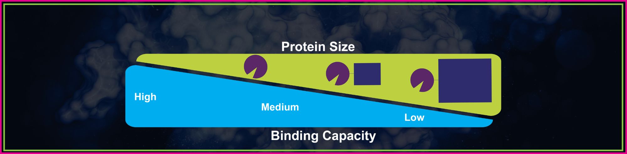 What’s the Binding Capacity of Glutathione Agarose