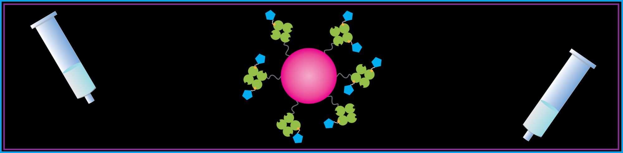 How Biotinylated Molecules are Purified with Streptavidin Beads