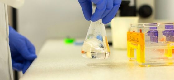 Agarose Gel FAQ Thumbnail image