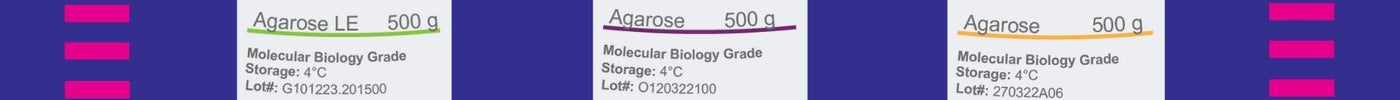 Agarose LE vs. standard agarose thumbnail