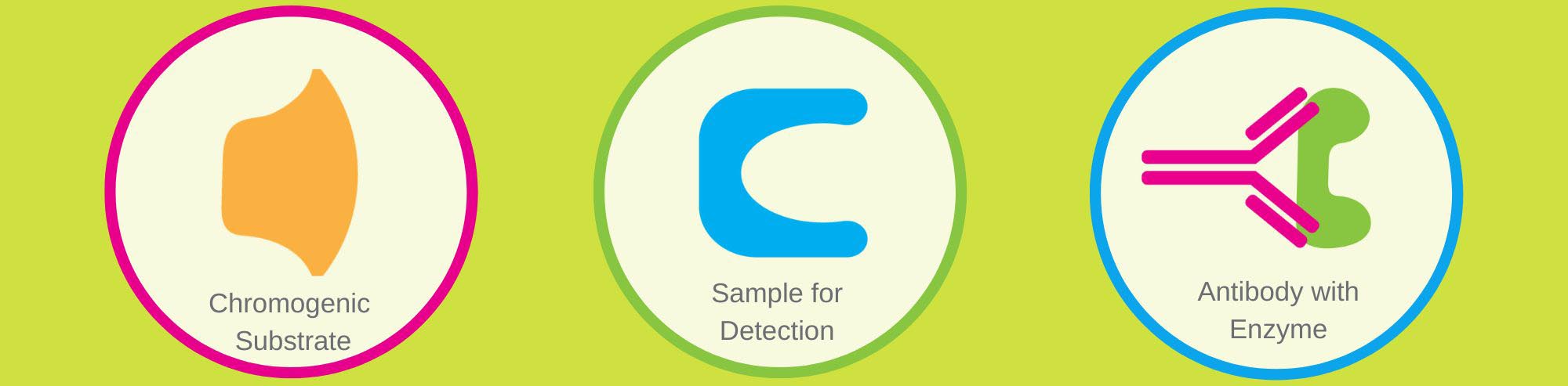 Chromogenic Assays: What they are and how they are used in research
