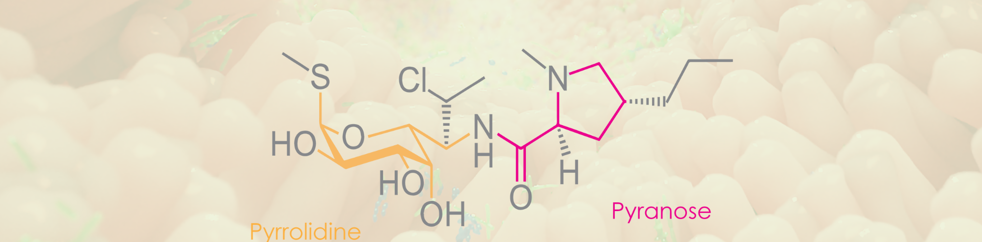 Antibiotics and the Microbiome