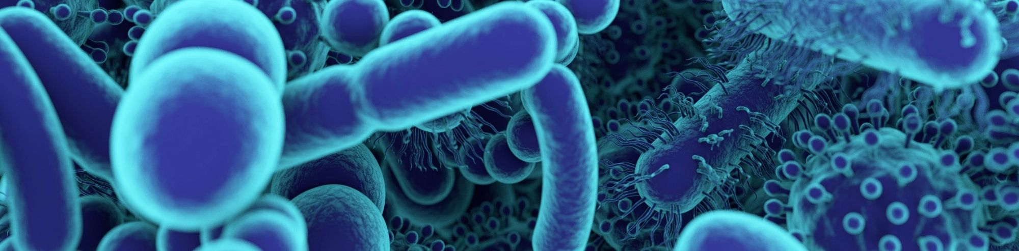 How Diet Affects Your Gut Microbiome