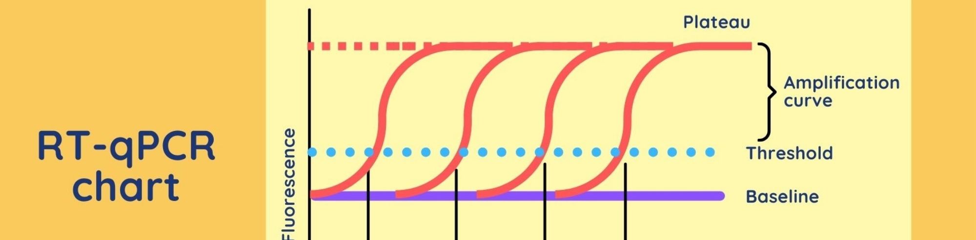How To Interpret RT-qPCR Results