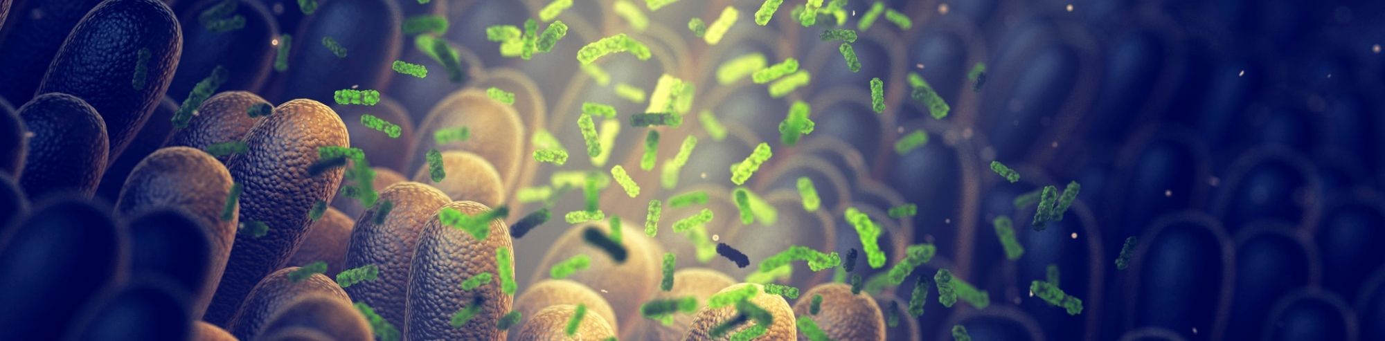 Human Infections and the Microbiome
