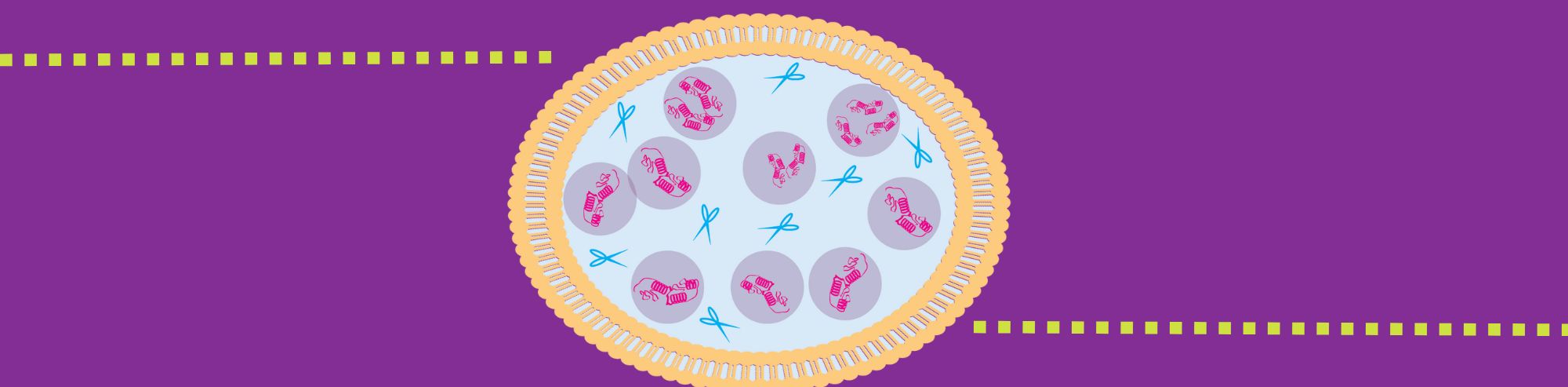 Introduction to Phosphatases and Phosphatase Inhibitor Cocktails