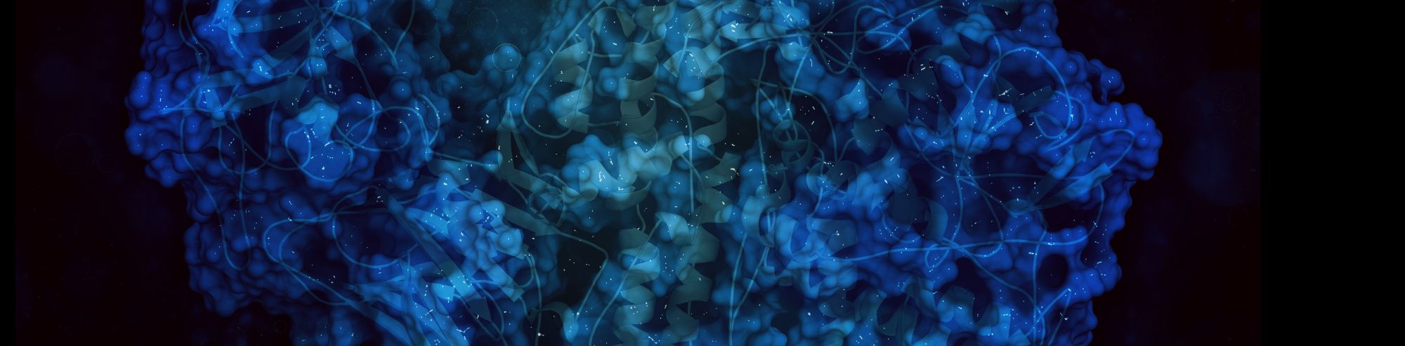 Why And How Proteins Are Used in Bioscience