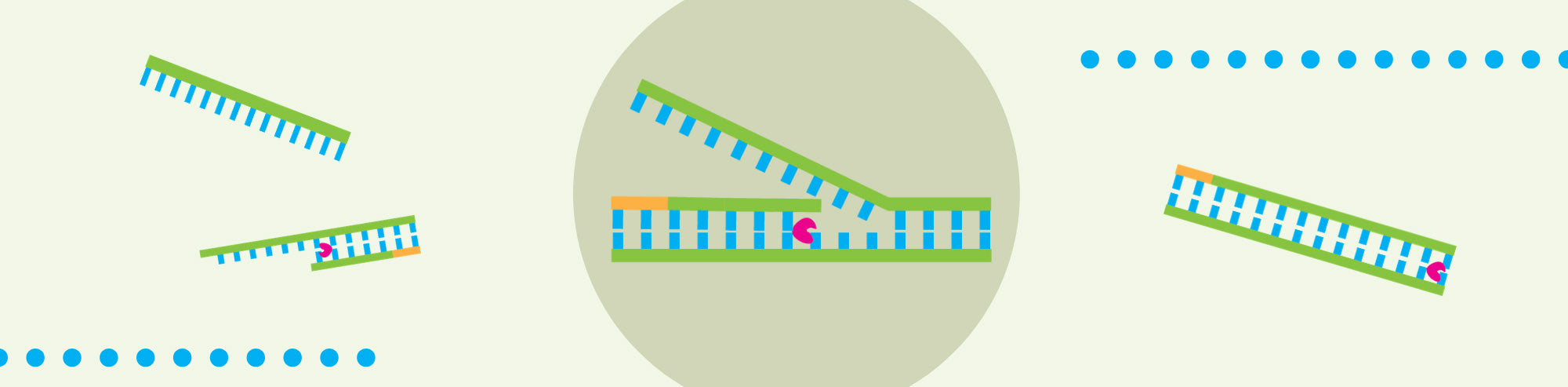 An Introduction to Isothermal Amplification