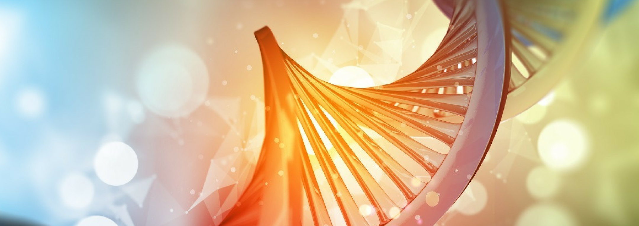 DNA Bokeh - Article Thumbnail