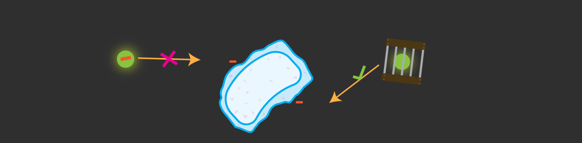How to Choose A Firefly Luciferin Substrate
