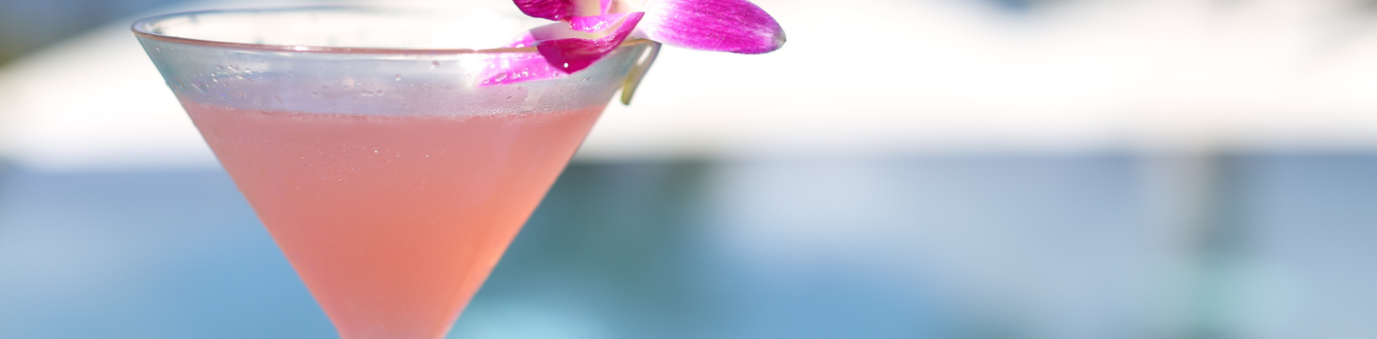 Understanding Protease Inhibitor Cocktails: Deep Overview