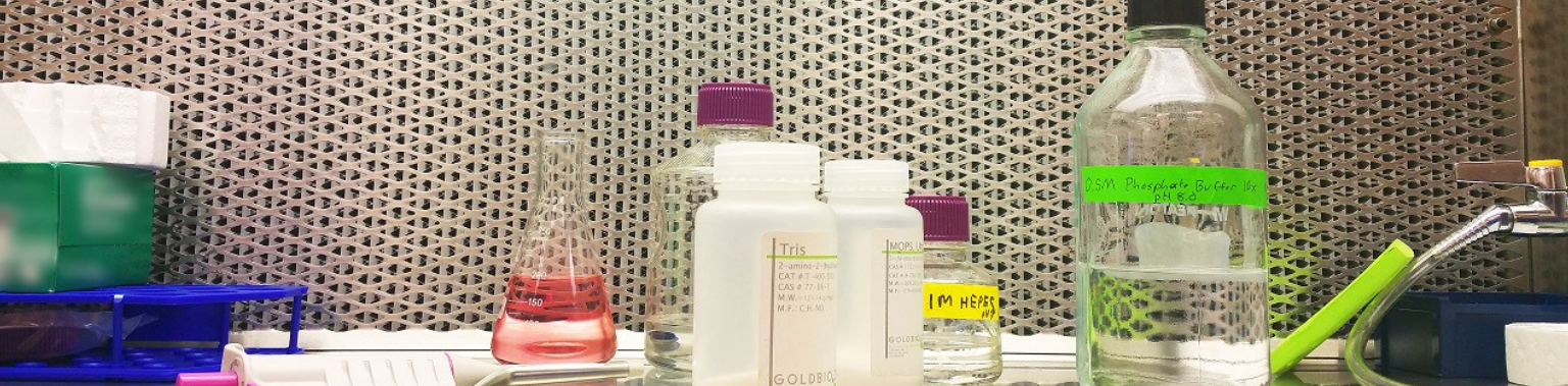 What is a Biological Buffer and How to Choose the Best Buffer for Your Experiment