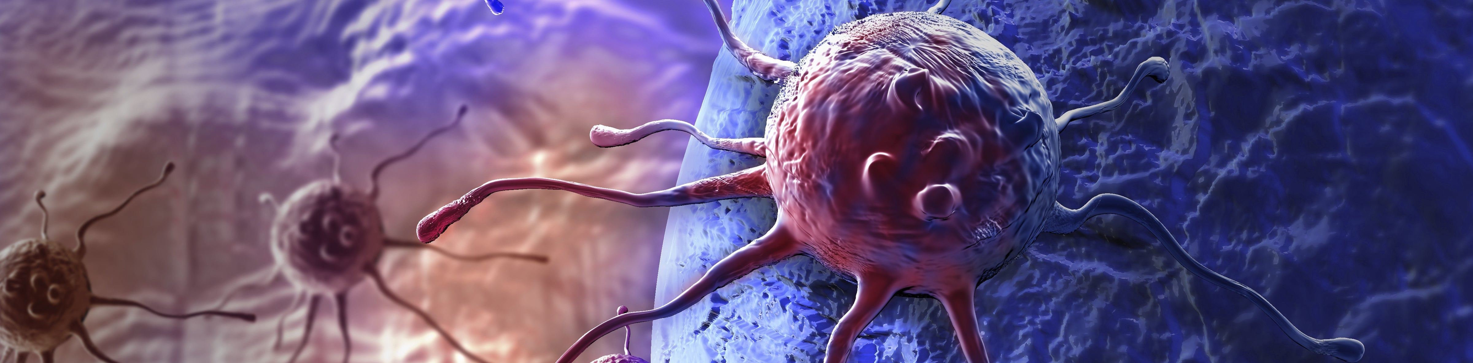 EGF, EGFRs and their Role in Cancer