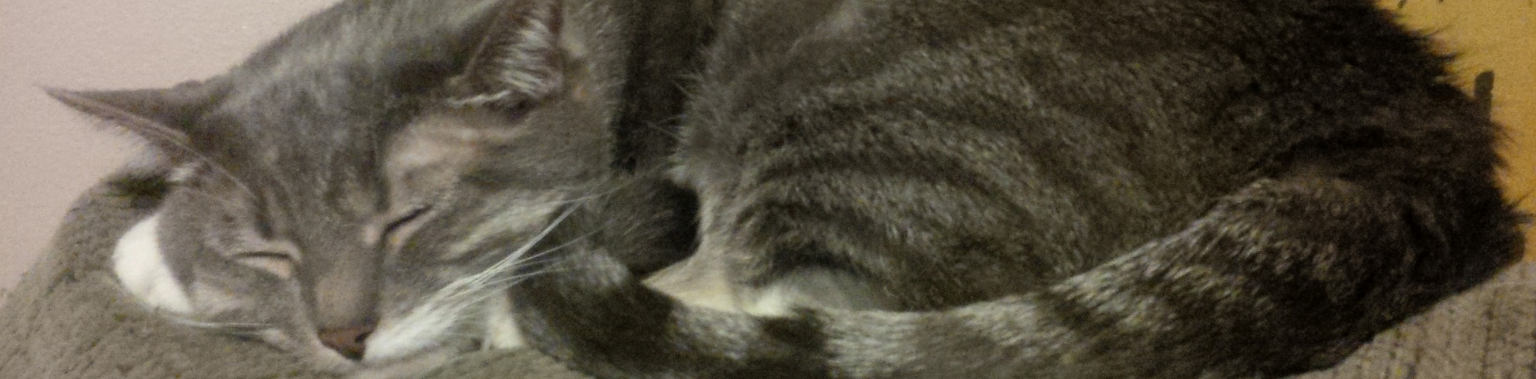 The Microbiome of the Litter Box, Cats and Human Health