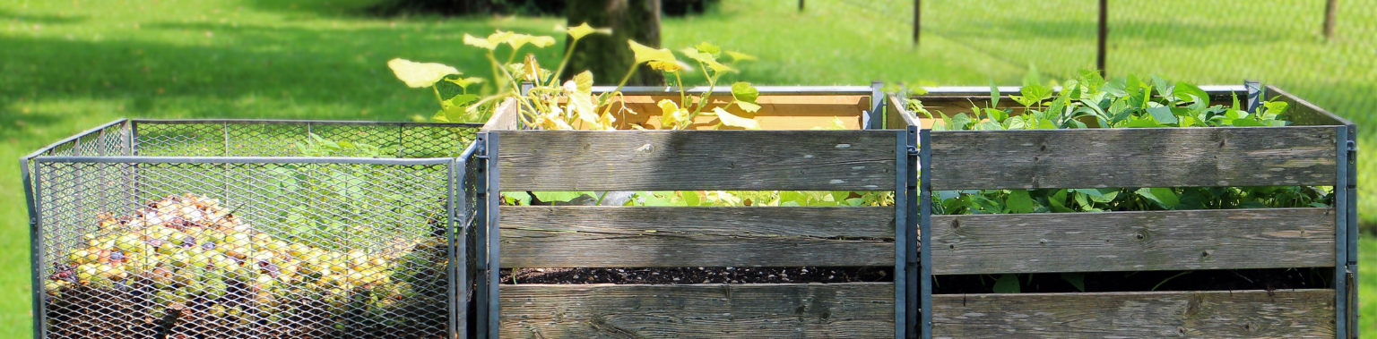 The Unseen Side of Plastic: Microplastics in Compost and Aquatic Systems