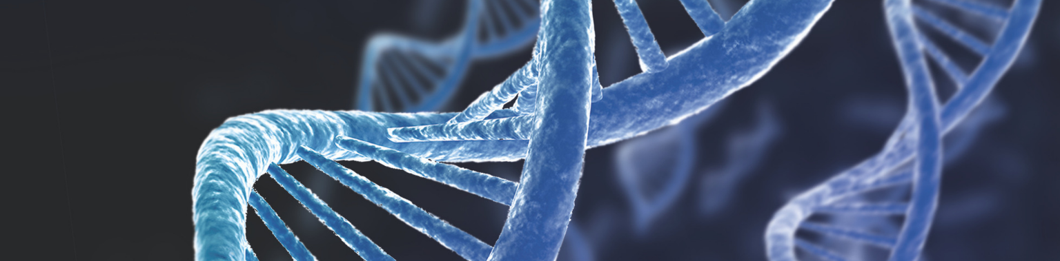 Reverse Transcriptase & cDNA Overview & Applications