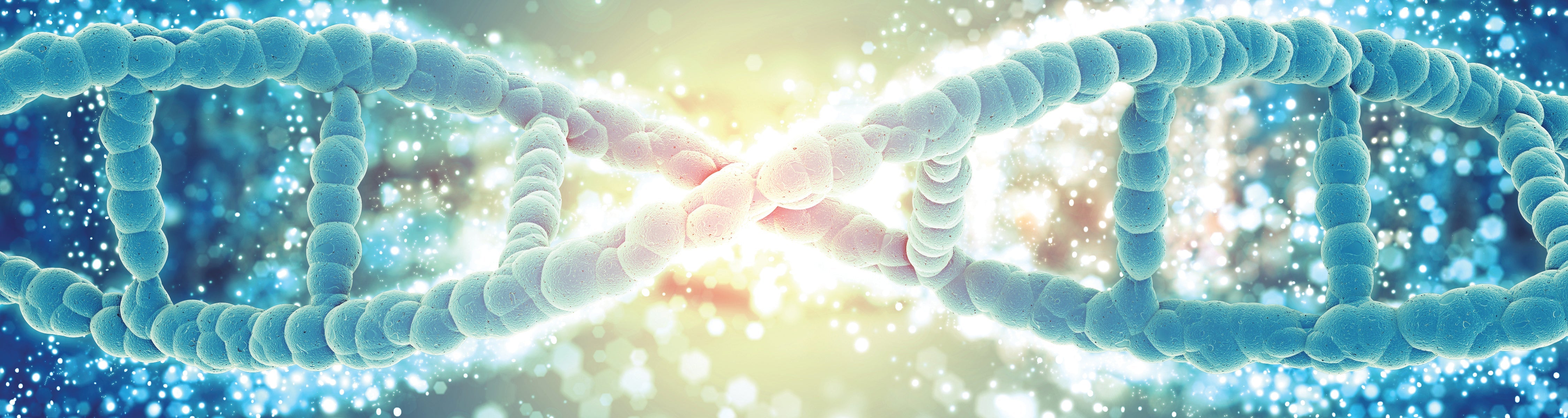 20 Answers to Important Proteinase K Questions – Plus Free Printable Fact Sheet