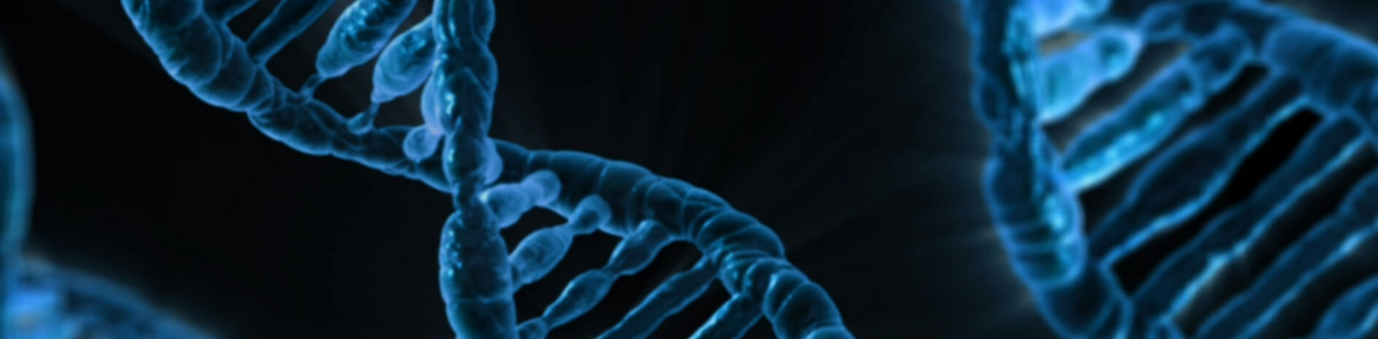 A Quick Overview of Molecular Cloning