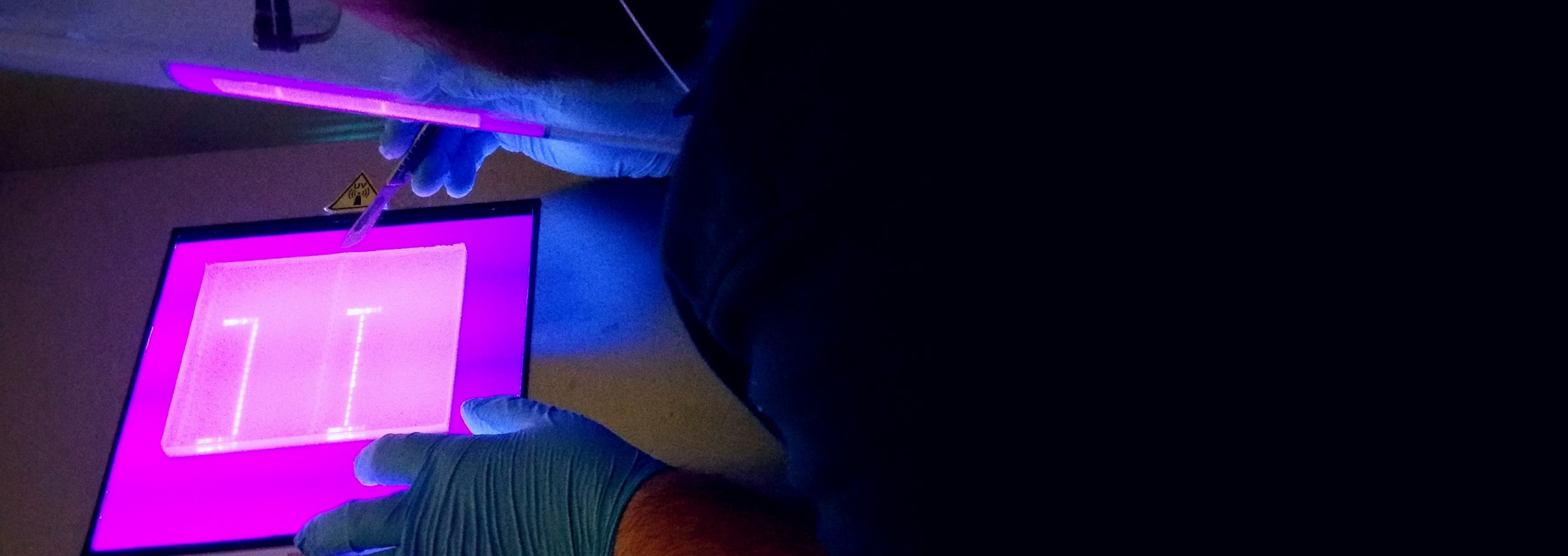 Genome Editing Validation using T7 Endonuclease I