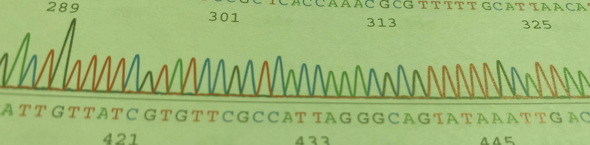 The Top Scientific Breakthroughs of 2020