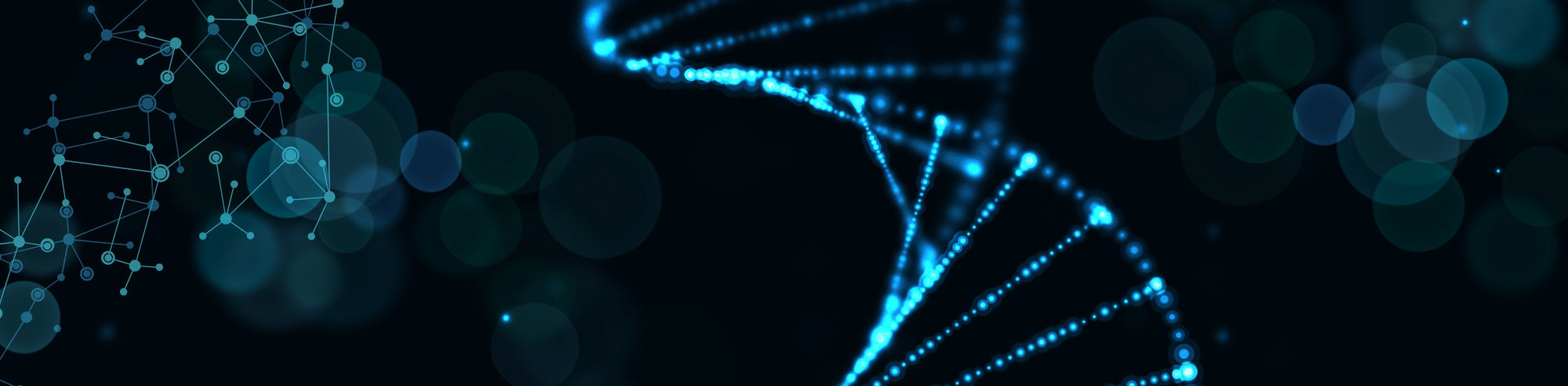 Bioluminscence Imaging (BLI) in Cardiac Regeneration