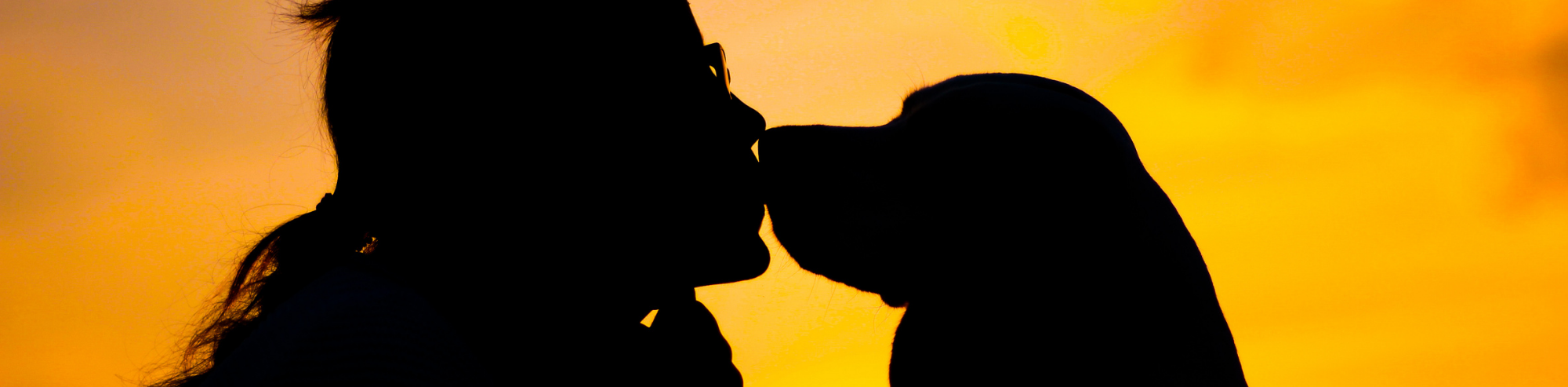 The Dog-Human Bond: We Wouldn’t Be Who We Are Without Them