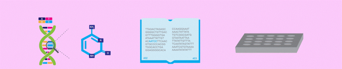 Tipos de PCR usados en Investigación Genética: Aplicaciones donde los diferentes tipos de PCR juegan un rol vital