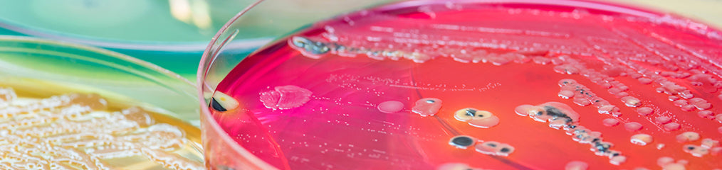 A Guide for Choosing Between Commonly Used Antibiotics