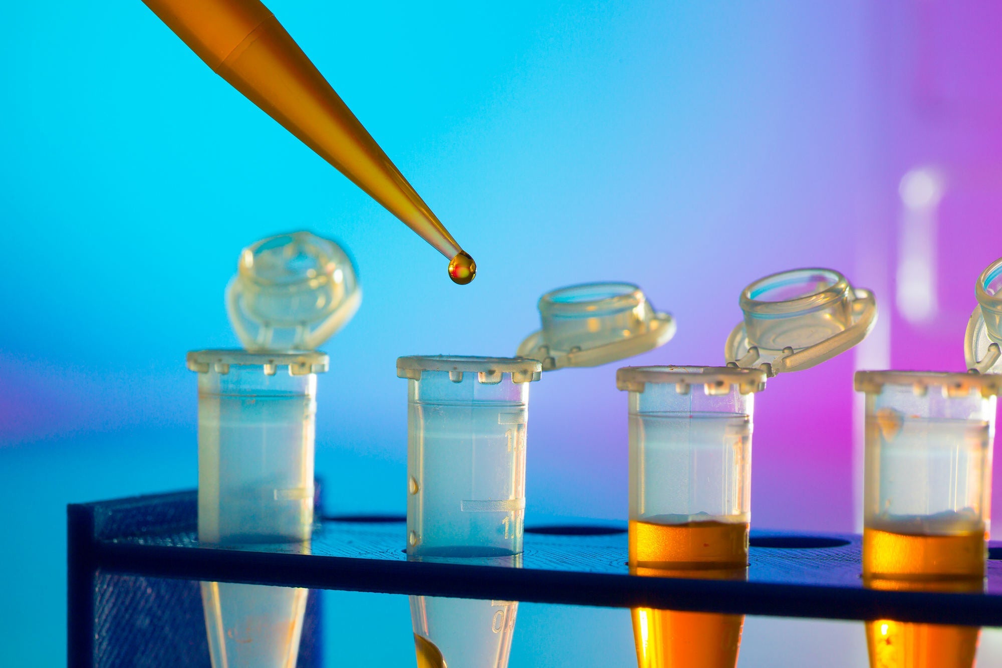 How to Prepare Protein Samples for Western Blot