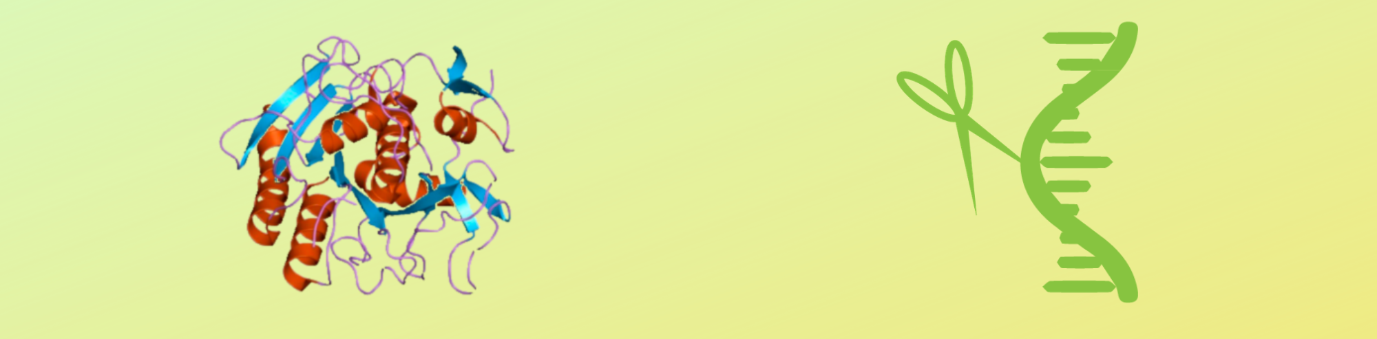 How to Prevent RNase Contamination in Proteinase K?