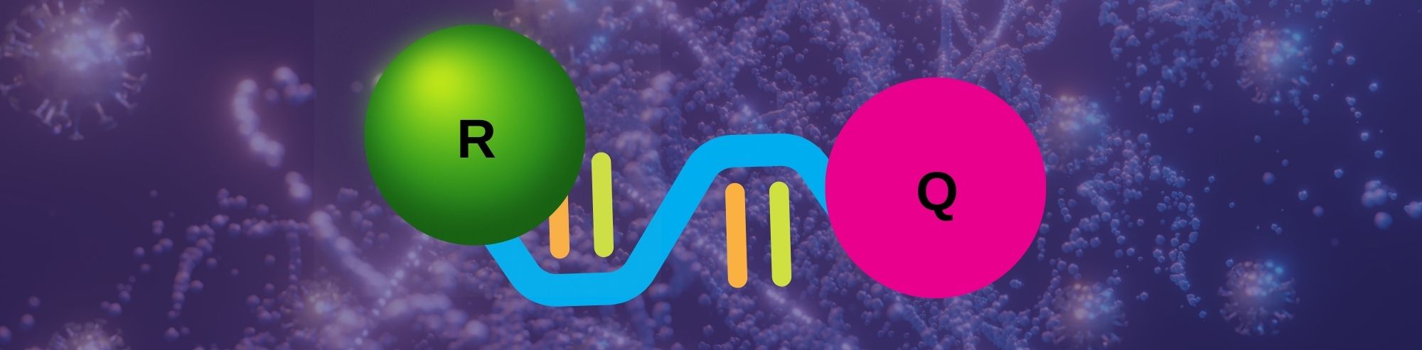 Overview: Types of PCR Probes